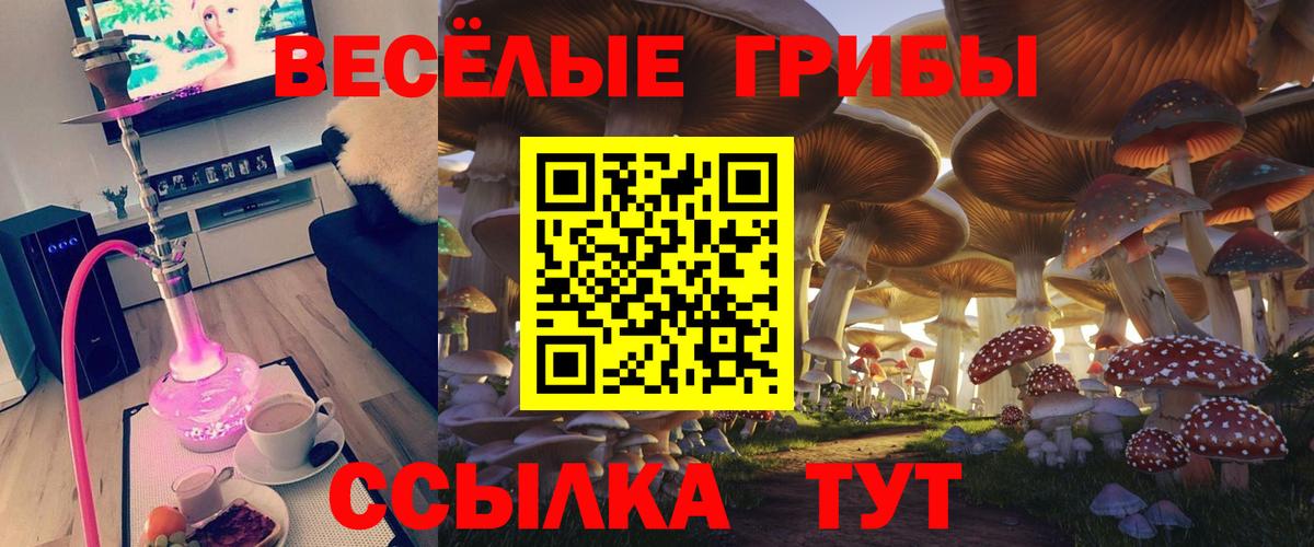 Псилоцибиновые грибы мухоморы Химки