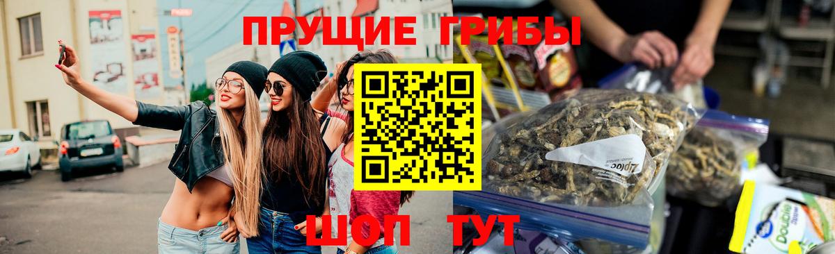 Псилоцибиновые грибы GOLDEN TEACHER  наркотики  Вход с VPN  Химки  Галлюциногенные грибы прущие грибы 