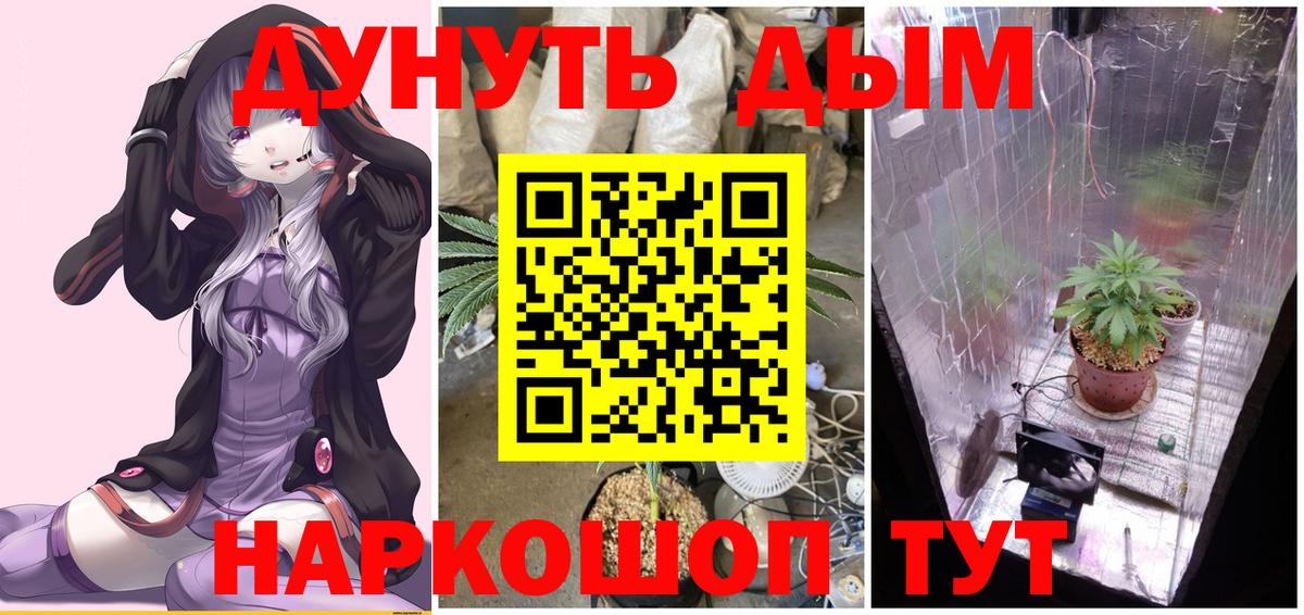Химки  МАРИХУАНА OG Kush  Вход с VPN  Бошки марихуана OG Kush  Шишки марихуана THC 21% 
